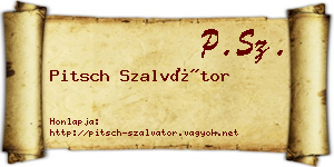 Pitsch Szalvátor névjegykártya